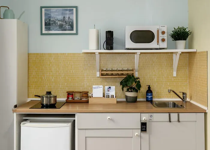 Days - Minimalistic With Netflix And View To National Museum Apartment Prague